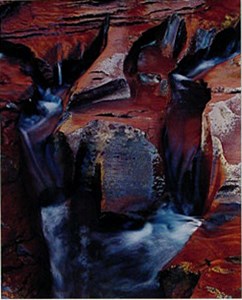 Image description is not available for 1986.026